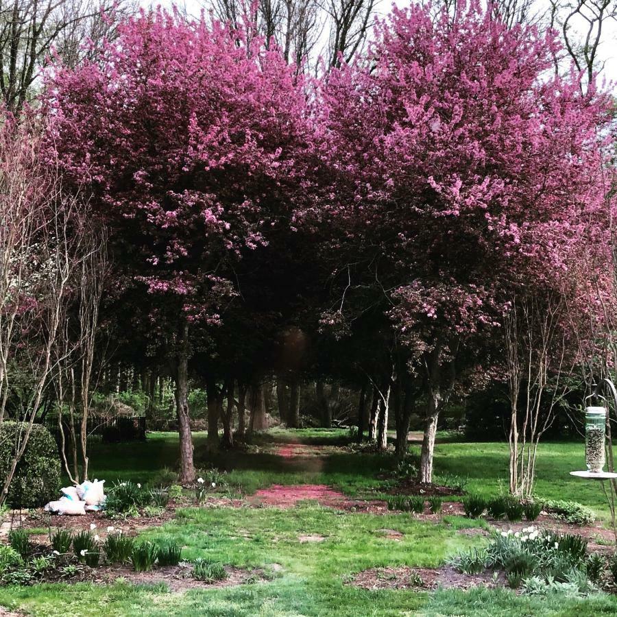 Bed and Breakfast Wild Wisteria Chadds Ford Экстерьер фото
