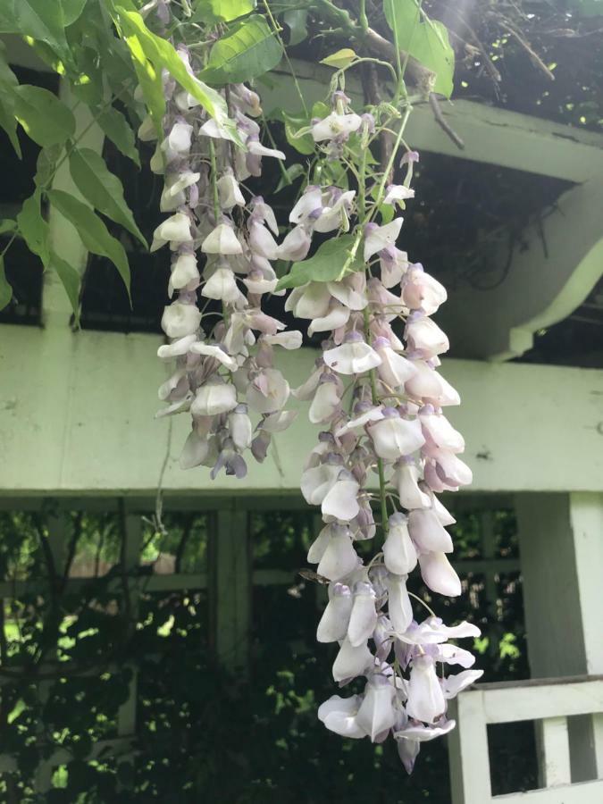 Bed and Breakfast Wild Wisteria Chadds Ford Экстерьер фото